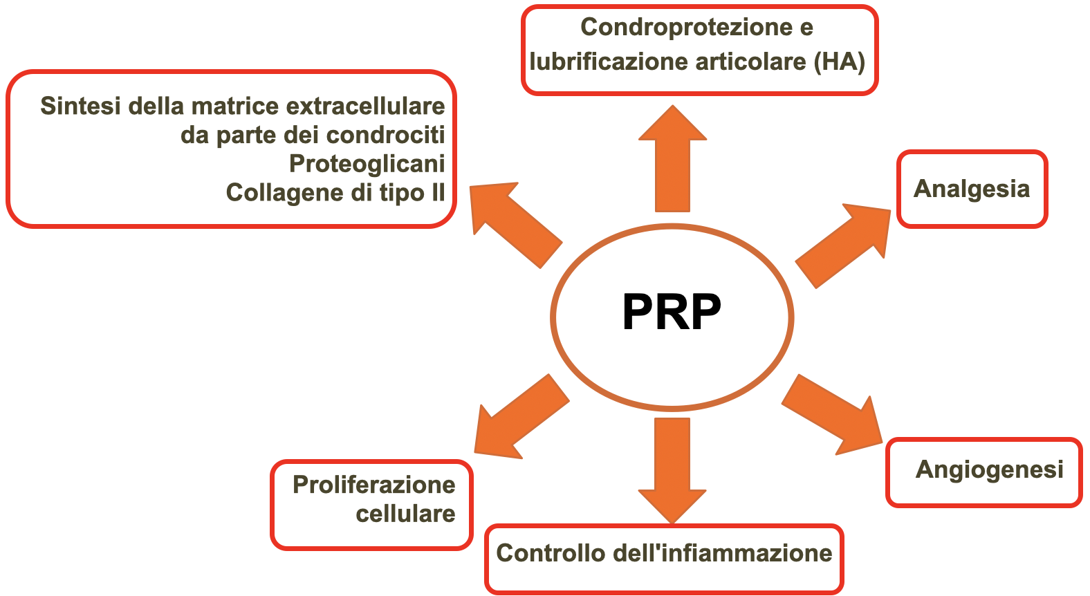 GLI&EFFETTI&DEL&PRP