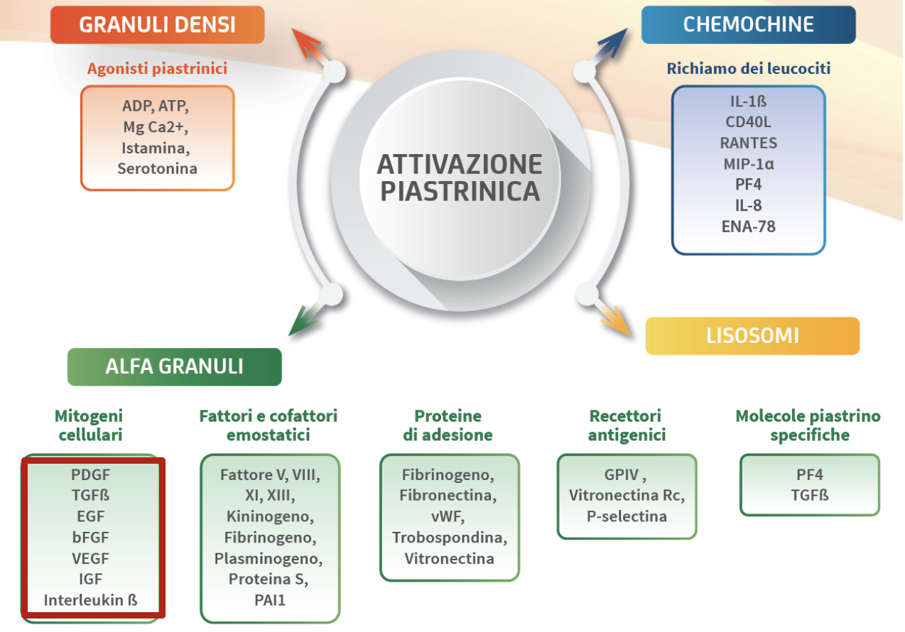 ALTRE&FUNZIONI&PIASTRINICHE