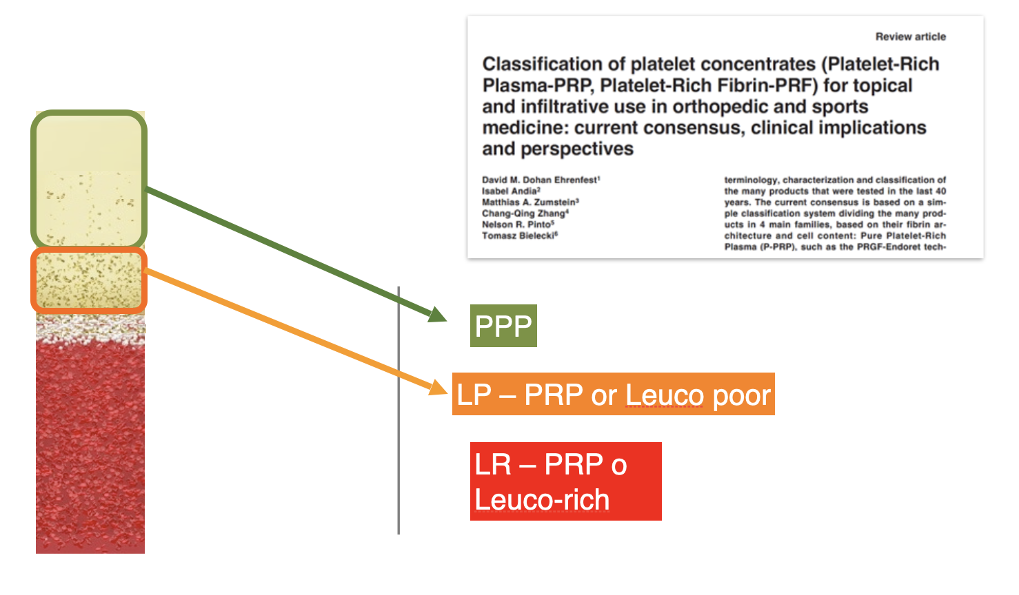 LA&CLASSIFICAZIONE&DEL&PRP